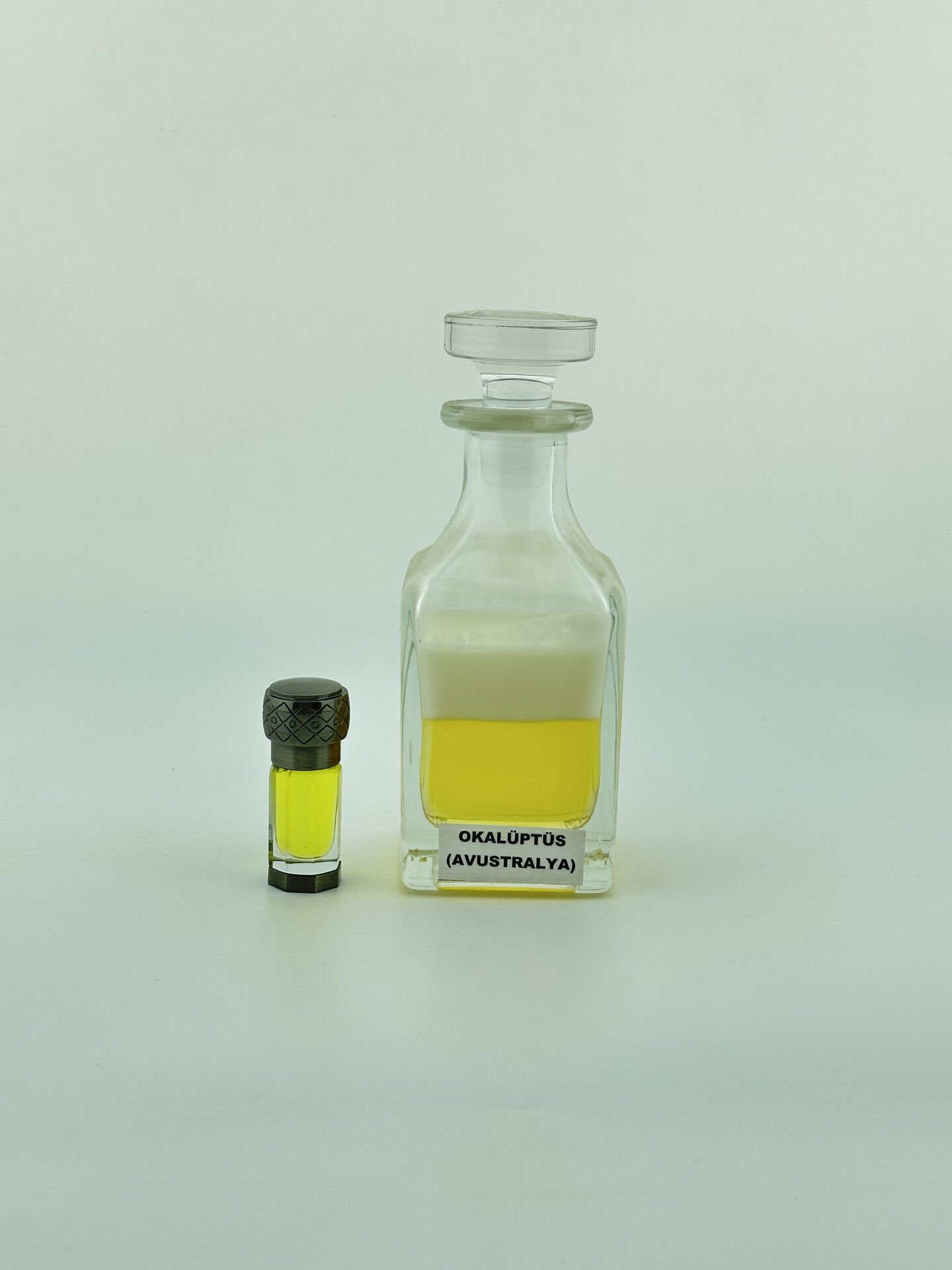 OKALÜPTÜS (AVUSTRALYA BÖLGESİ) 3CC