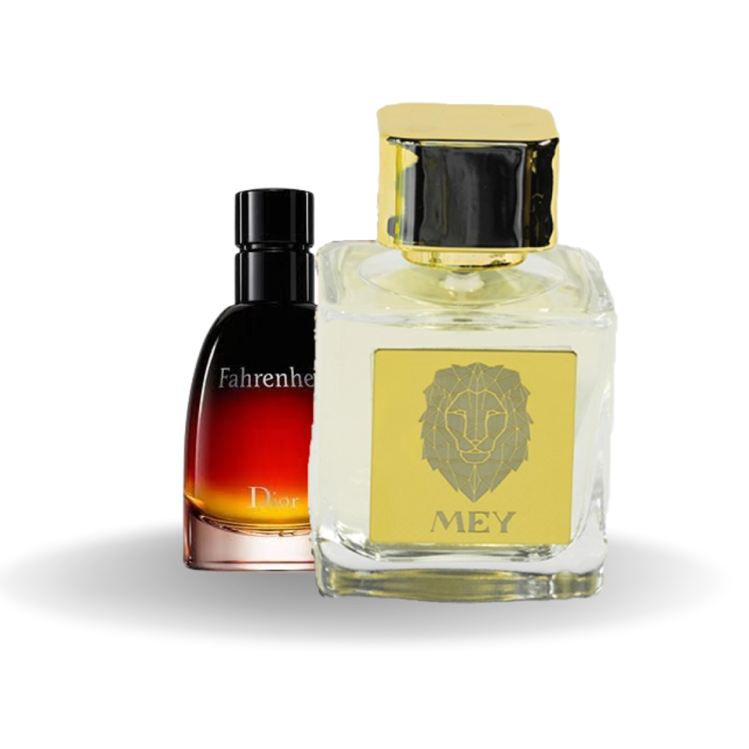 DİOR FAHRENAYT PARFUME