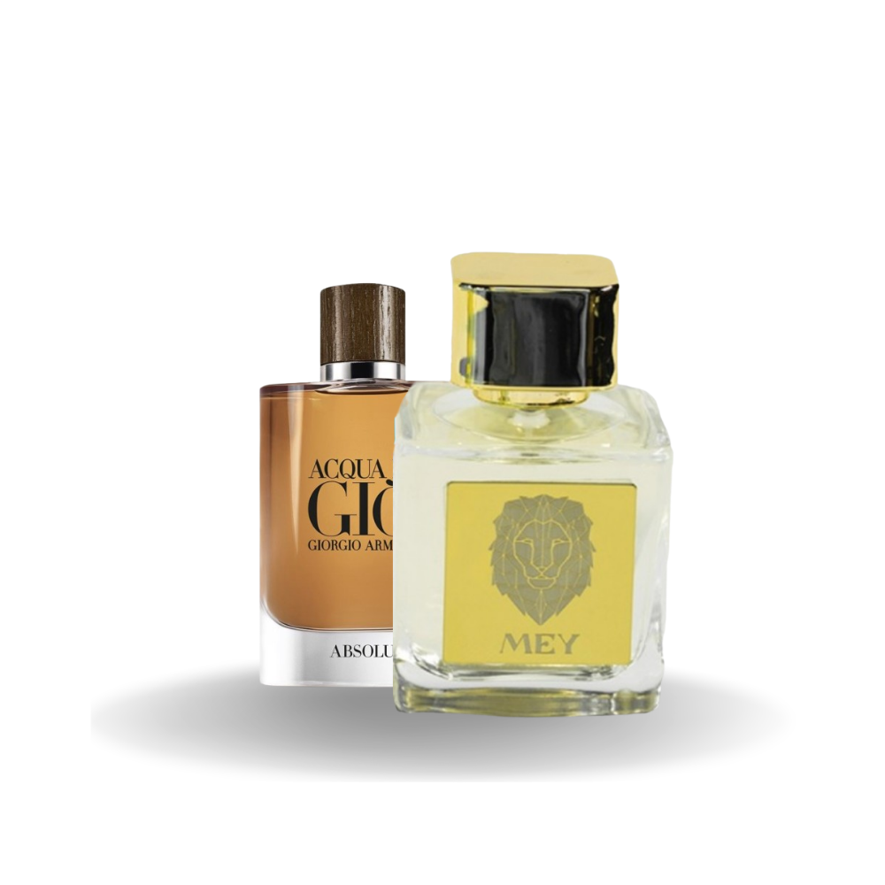 Armani Gia Absolu