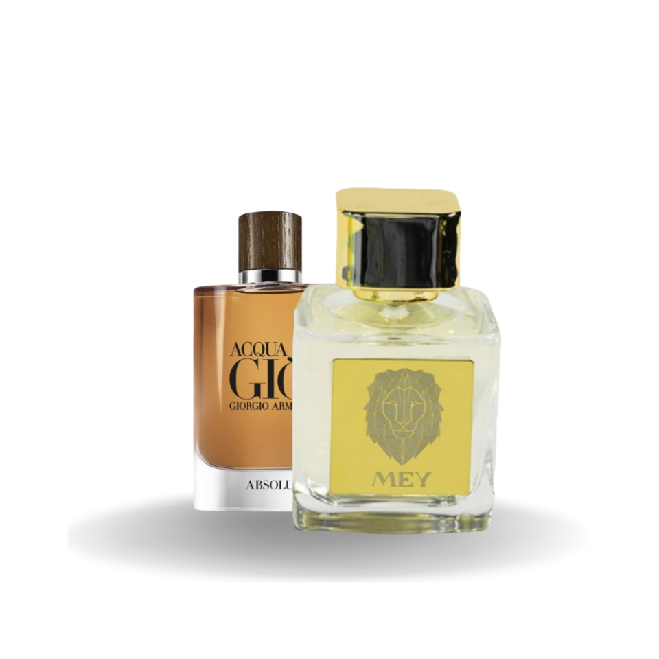Armani Gia Absolu