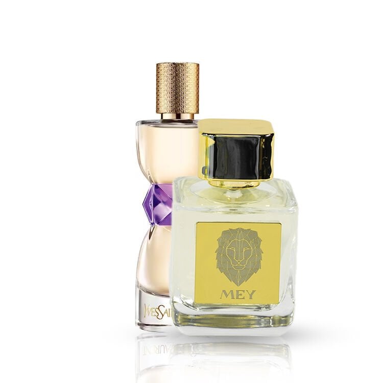 YVES SAINT LAURENT MANIFESTO